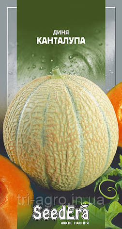 Діня Канталупа 10 шт (SeedEra), фото 1