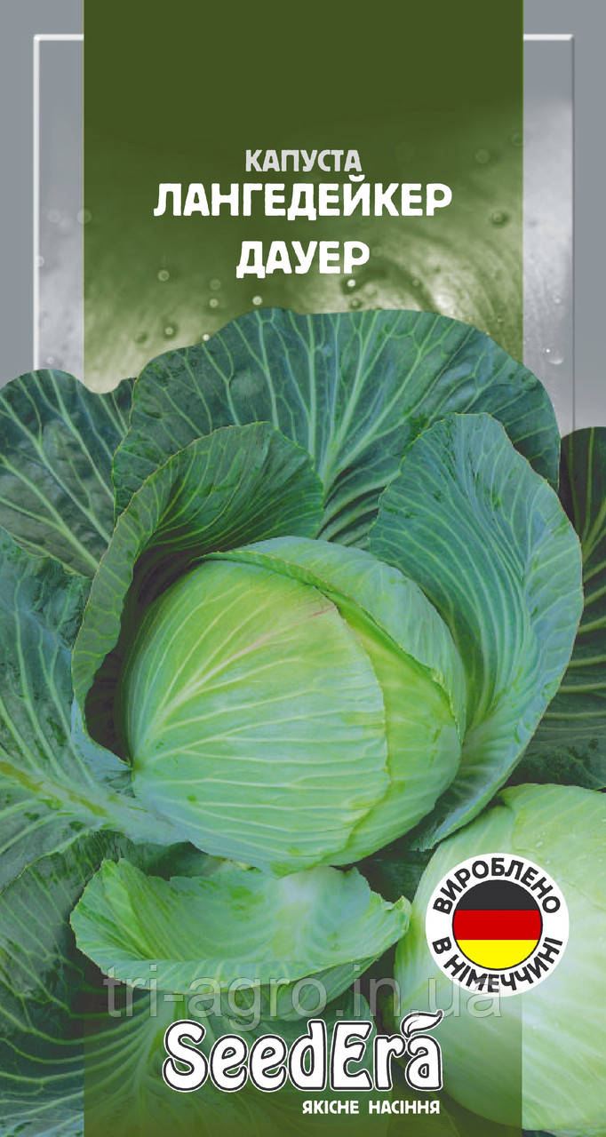 Капуста білоголова Лангедейкер Дауер 1г (SeedEra)