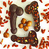Шоколадний член БЕЗ цукру в начинці Горіхи, Сухофрукти та ягоди годжі, фото 5