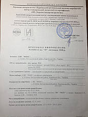 Нут турецький горох, фото 3