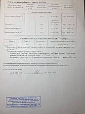 Нут турецький горох, фото 2