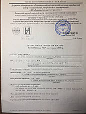 Нут турецький горох, фото 3