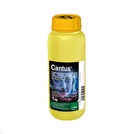 Фунгіцид Кантус 50 % в. р. BASF - 1 кг, фото 2