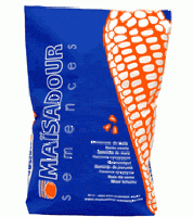 Насіння кукурудзи Мас 24С (ФАО 260)