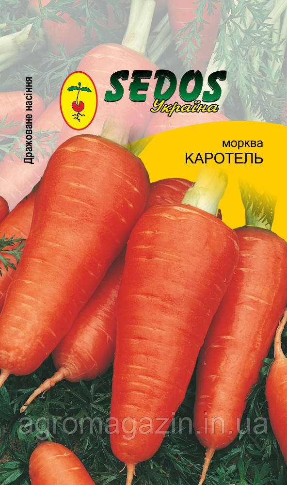 Морква "Каротель"