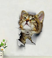 3-D-наліпка для інтер'єру Кіт