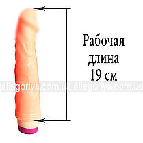 Набор 2в1 лубрикант 115 ml + вагінальний вібратор 19 см от Baile Скидка All 872, фото 4