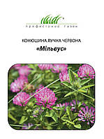 Конюшина декоративний Мильвус 50 г