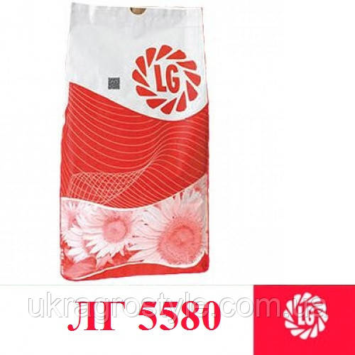 Насіння соняшнику Лімагрейн LG 5580 (Нова Тунка)