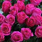 Саджанці чайно-гібридної троянди Топаз (Rose Topaz), фото 2