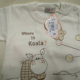 Подарунковий блакитний комплект для новонародженого 62 Салі- Малі Sofija, фото 5