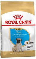 Royal Canin Pug Puppy, 1,5 кг