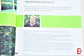 Каталог Брунс 2018-2019, фото 4