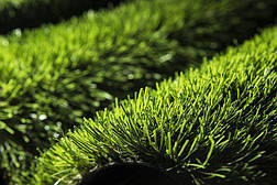 MS-PRO Grass, фото 4