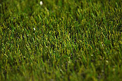 MS-PRO Grass, фото 5