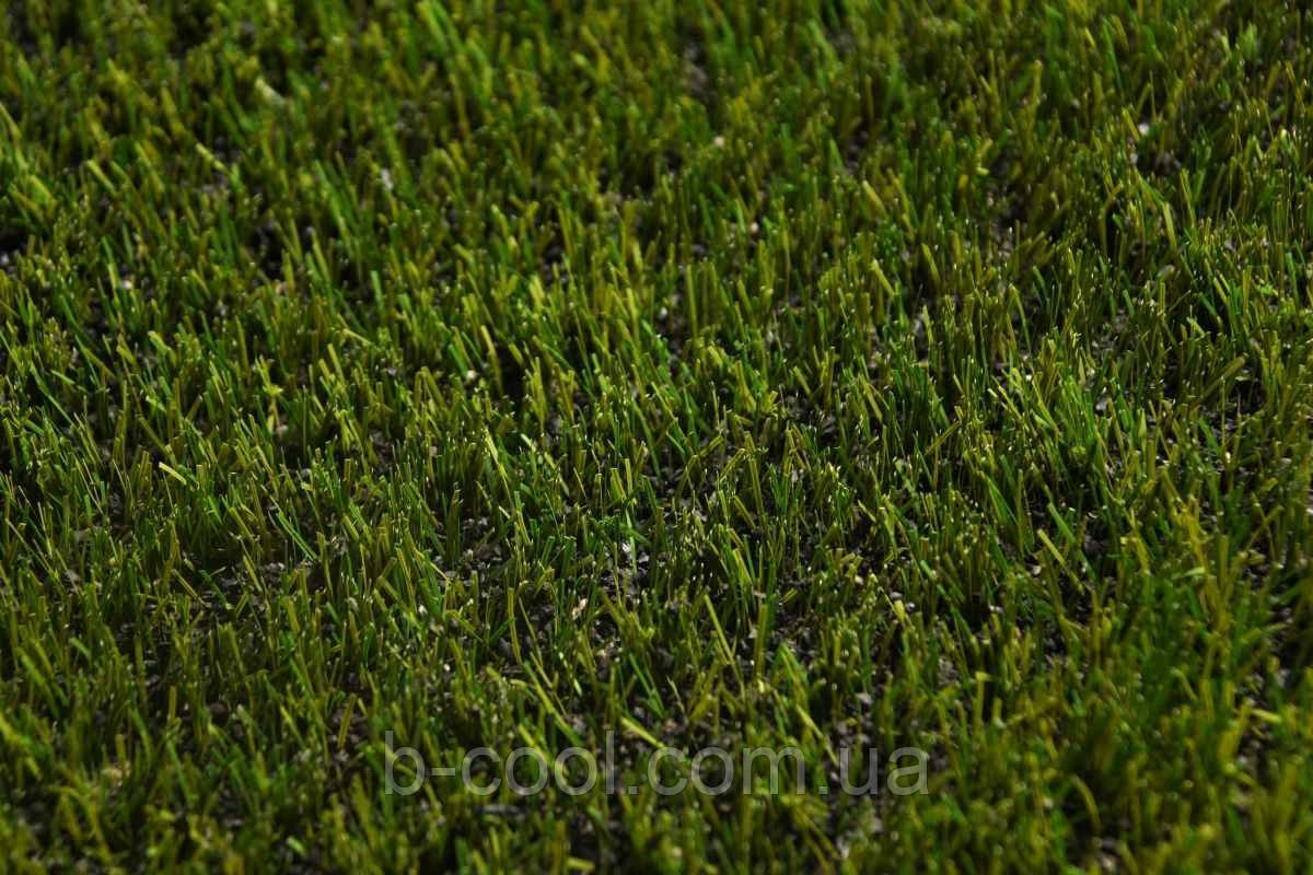 MS-PRO Grass