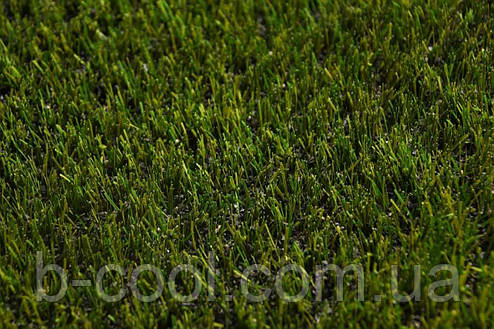 MS-PRO Grass, фото 1
