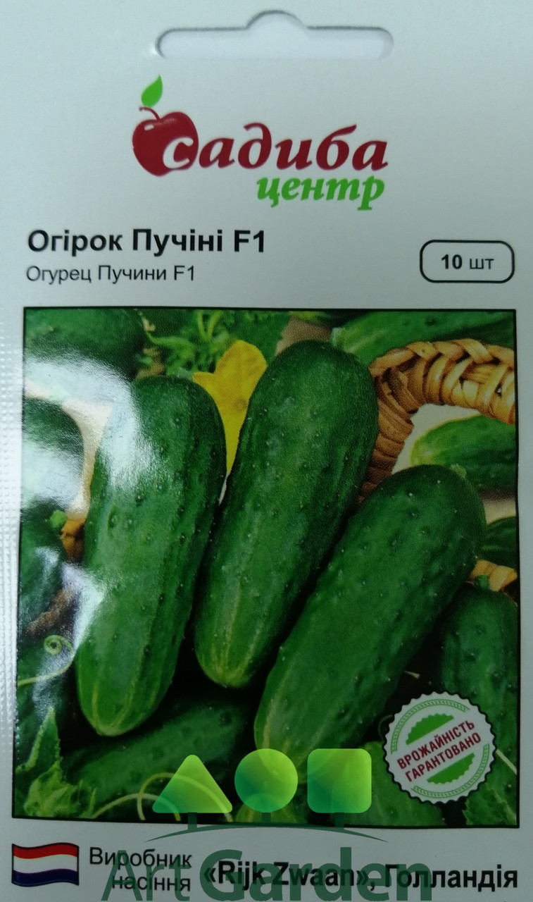 Огірок Пучіні F1 10 сем.