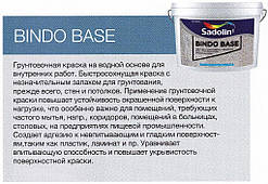 BINDO BASE 10 л — ґрунт фарба для проблемних поверхонь