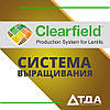 Технологія вирощування соняшника «Clearfield»