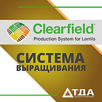 Технологія вирощування соняшника «Clearfield»