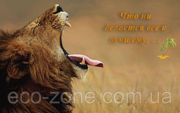 «Подих лева»