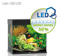 Аквариум LIDO 120 LED черный 120 литров 61 x 41 x 58 см