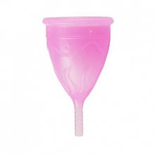 Менструальна чаша Femintimate Eve Cup з переносним душем 