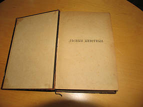 Книга Лісові тварини 1893 рік А. Брем