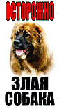 Металева табличка на забір собака, фото 7