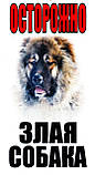 Металева табличка на забір собака, фото 10