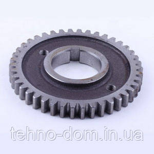 Шестірня колінвала розподільна Z-42 двигуна мотоблока — 195N