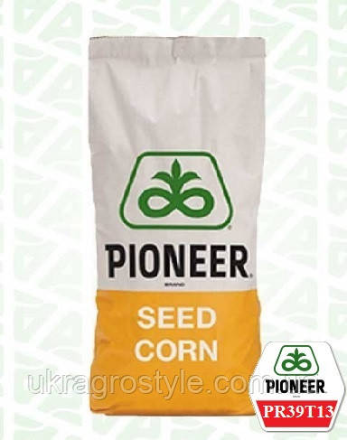 НАСІННЯ КУКУРУЗИ ПІОНЕР ПР39Т13, фото 1