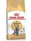 Сухий корм для кішок Royal Canin BRITISH SHORTHAIR ADULT 2 кг