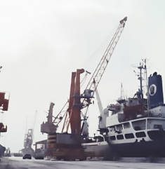 Портовий кран Fantuzzi MHC115