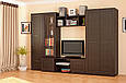 Стінка для вітальні Конго (Мебель — Сервіс), фото 2