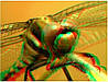 Анагліфні 3D окуляри (Red-Blue) Digital Stereo Sport design, фото 6