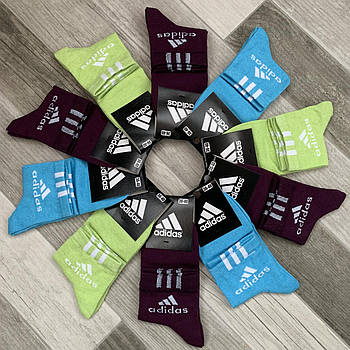 Шкарпетки жіночі демісезонні спортивні х/б Adidas, Athletic Sports, кольорове асорті, середні, 06112