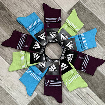 Шкарпетки жіночі демісезонні спортивні х/б Adidas, Athletic Sports, кольорове асорті, середні, 06113
