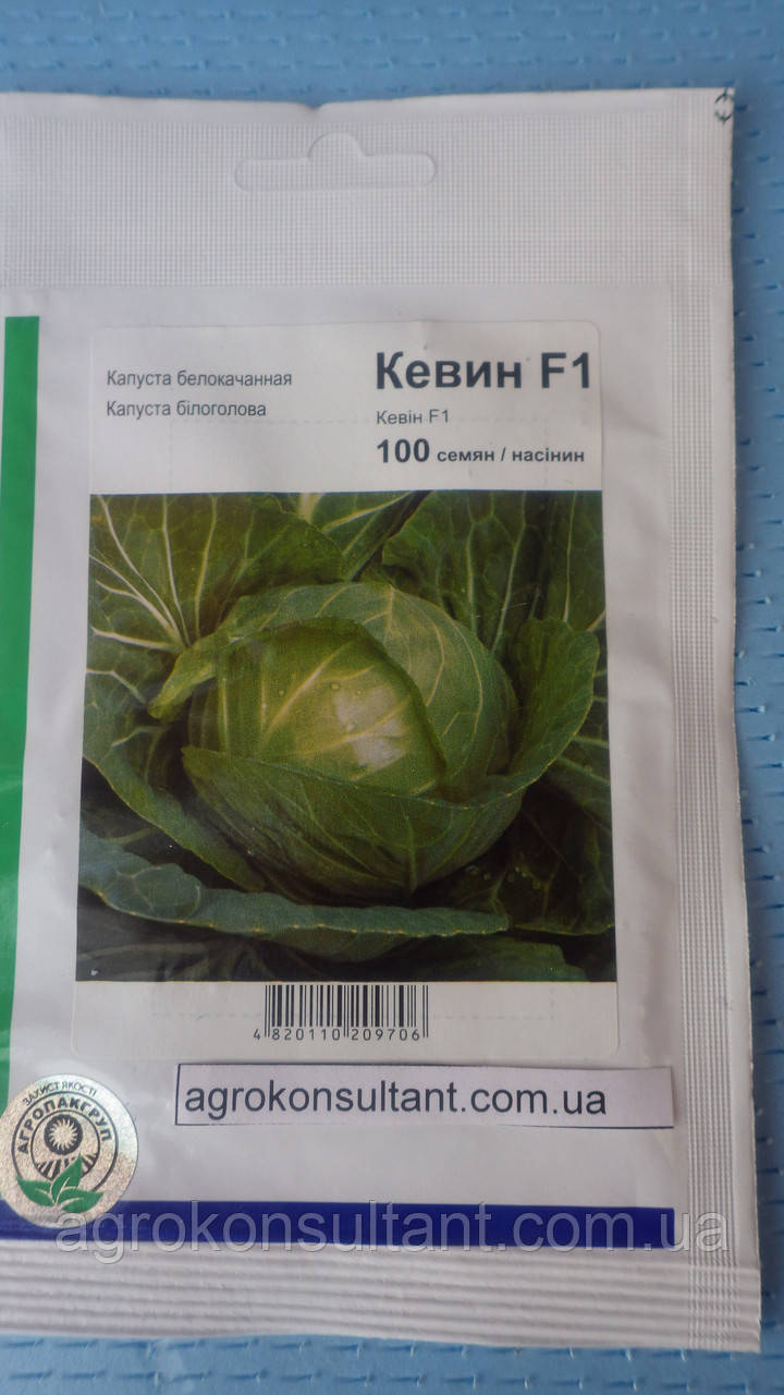 Насіння капусти Кевін F1 (Syngenta), 100 насінин — ультрарання (48-52 дні), білоголова, стійка до холодів