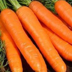 Насіння моркви Йорк F1 (1.6-1.8), Тип шантане, 250 000c, Lark Seeds