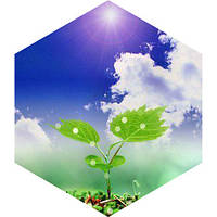 Гумінові добрива LEAF FORTE