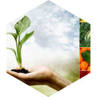 Біофунгіциди