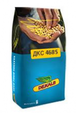 ДКС 4685 ФАО 340 Насіння кукурудзи Монсанто