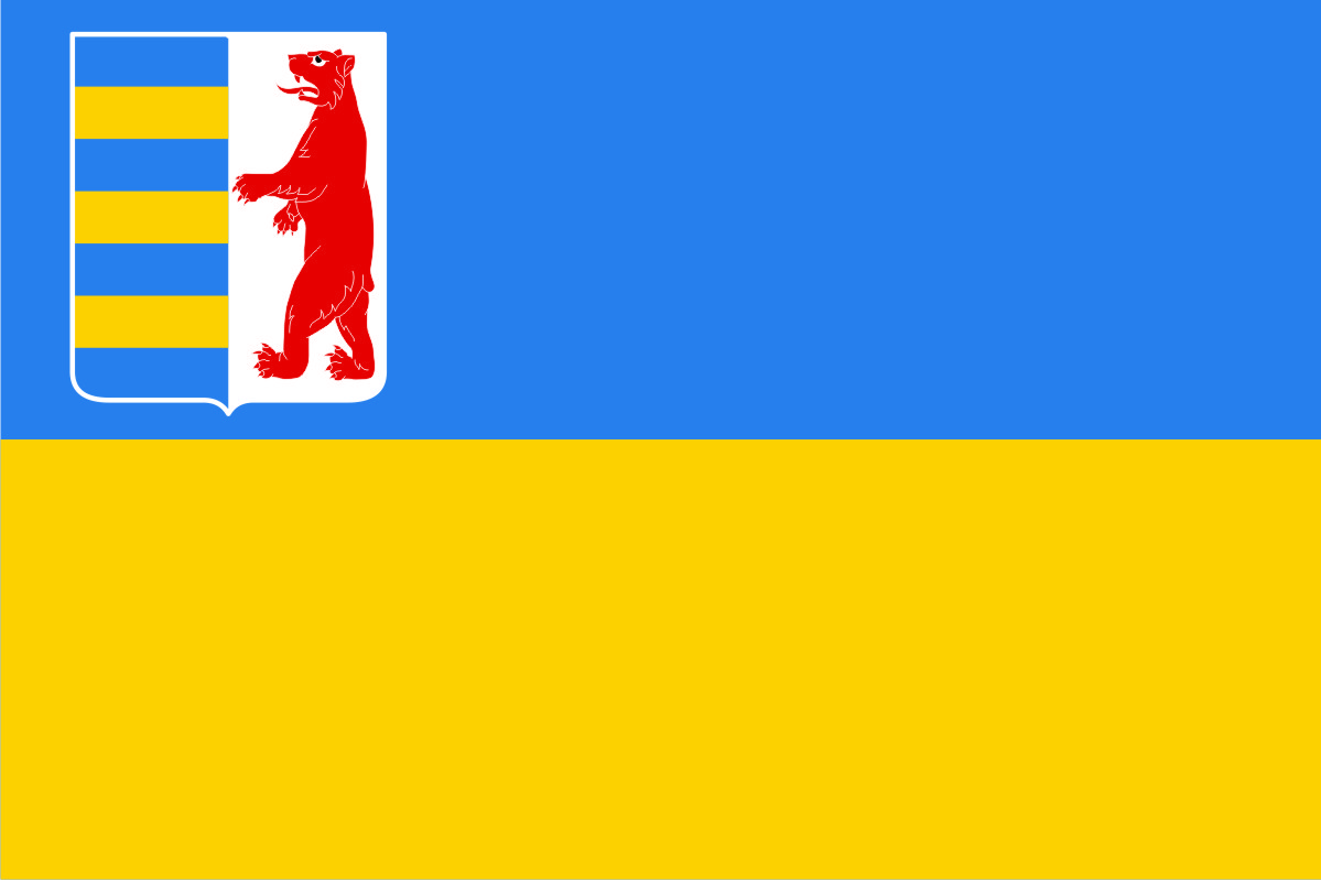 Прапор Закарпатської зони 0,9х1,35 м. атлас