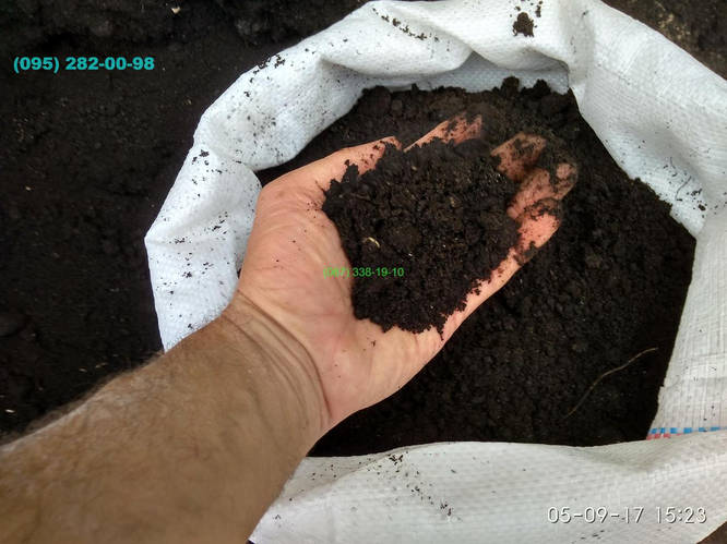 Купить Грунт для газона Киев Субстрат в мешках по 50-60 литров Торф ...