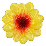 Крокус подвійний атлас, 13см (по 50 шт. в уп), фото 2