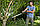 Гілкоріз Gardena SlimCut 12010-20, фото 6