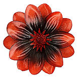 Крокус подвійний атлас, 13см (по 50 шт. в уп), фото 3