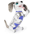Інтерактивний собака робот-іграшка Zoomer Playful Pup від Spin Master, фото 3